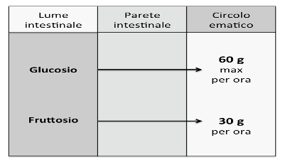 Immagine che contiene tavolo

Descrizione generata automaticamente